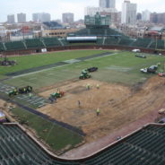 Bush Turf Rebuilds Wrigley Field